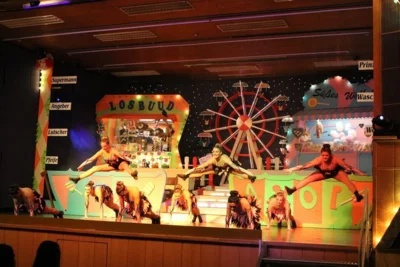 Foto des Albums: Ordensempfang 2019