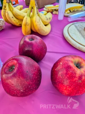 Foto des Albums: Apfelmarkt mit Leckereien beim PriMa-Treff im August