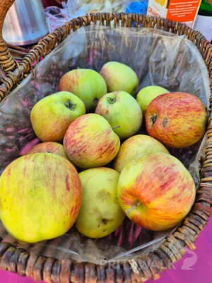 Foto des Albums: Apfelmarkt mit Leckereien beim PriMa-Treff im August