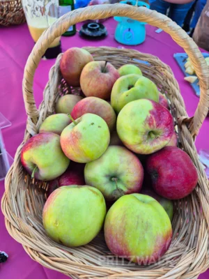 Foto des Albums: Apfelmarkt mit Leckereien beim PriMa-Treff im August