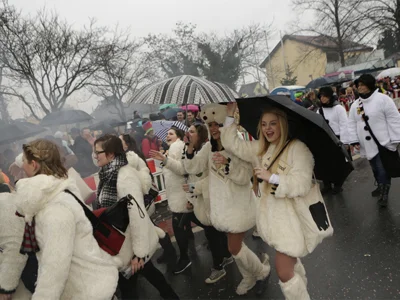 Foto des Albums: AEWG-Umzug 2016