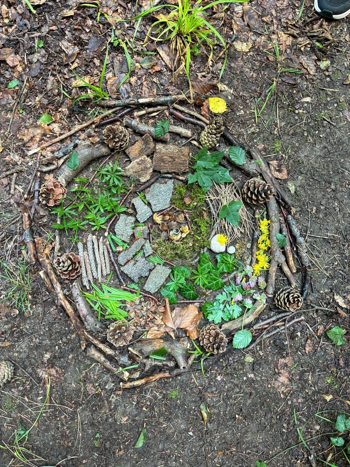Bild: Mandala