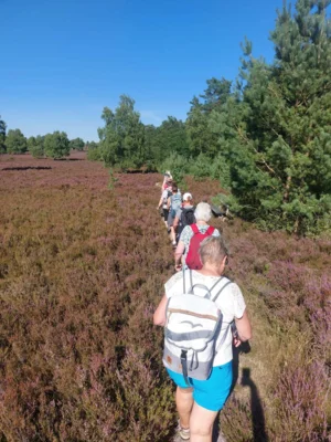 Foto des Albums: Wanderung