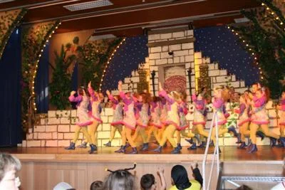 Foto des Albums: Kindersitzung 2009
