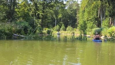 Vorschaubild der Galerie