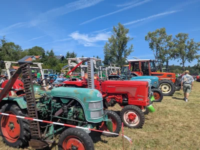 Unz&auml;hlige wahre Schmuckst&uuml;cke befanden sich unter den Oldtimern  (Bild vergr&ouml;&szlig;ern)