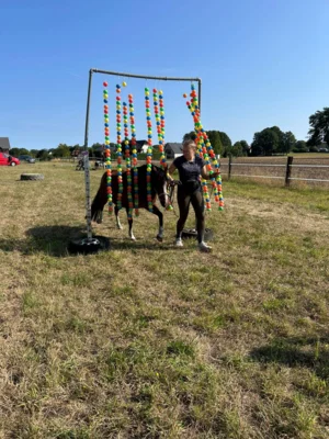 Foto des Albums: Trail 2026