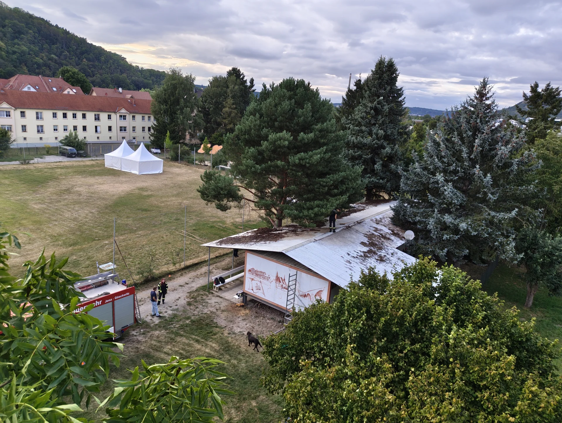 Bild der Galerie