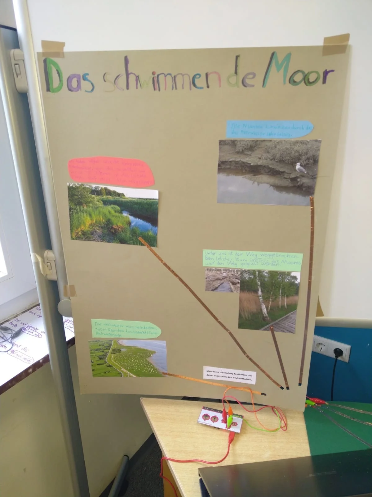 Bild: Das schwimmende Moor