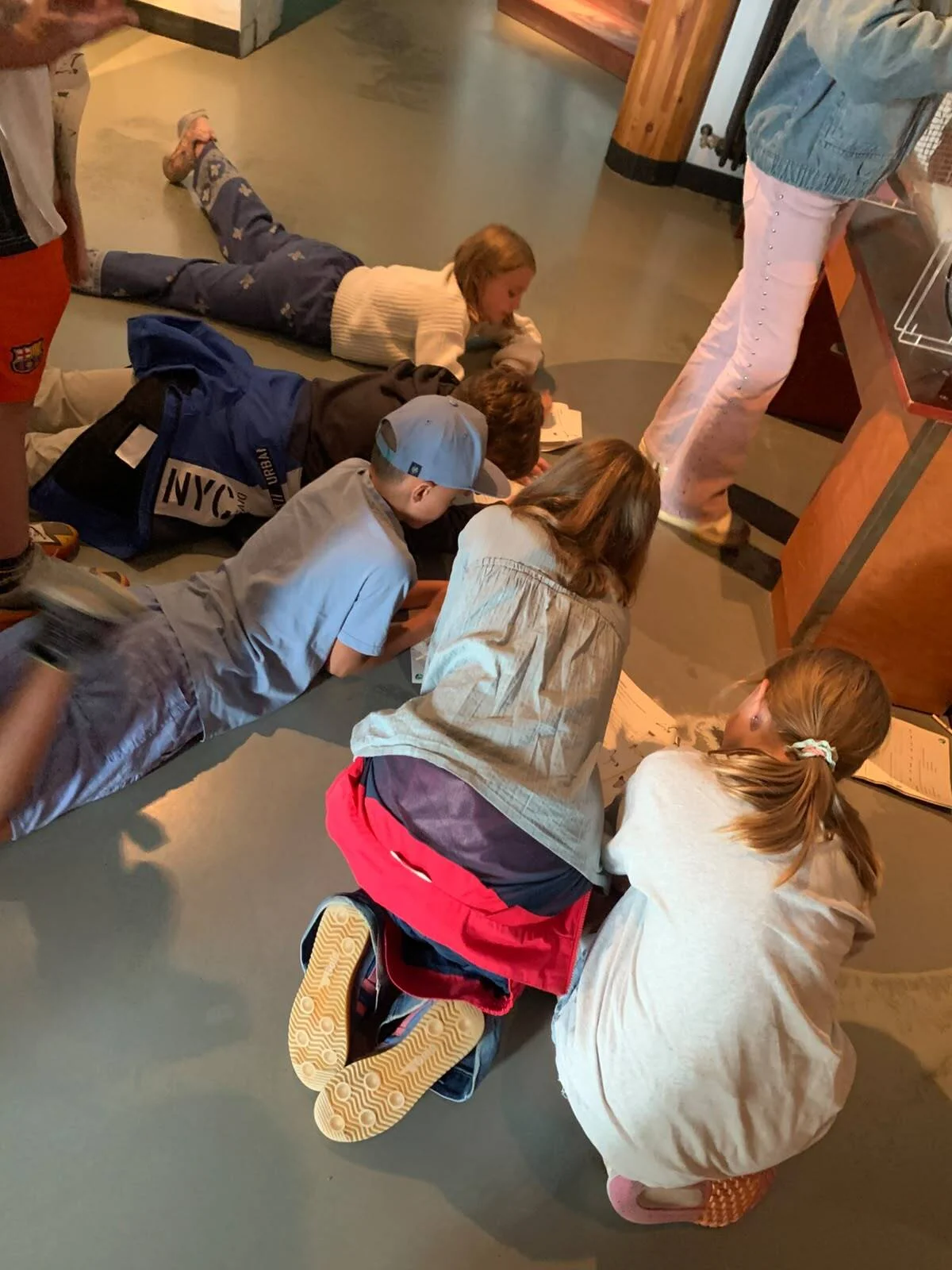 Bild der Galerie