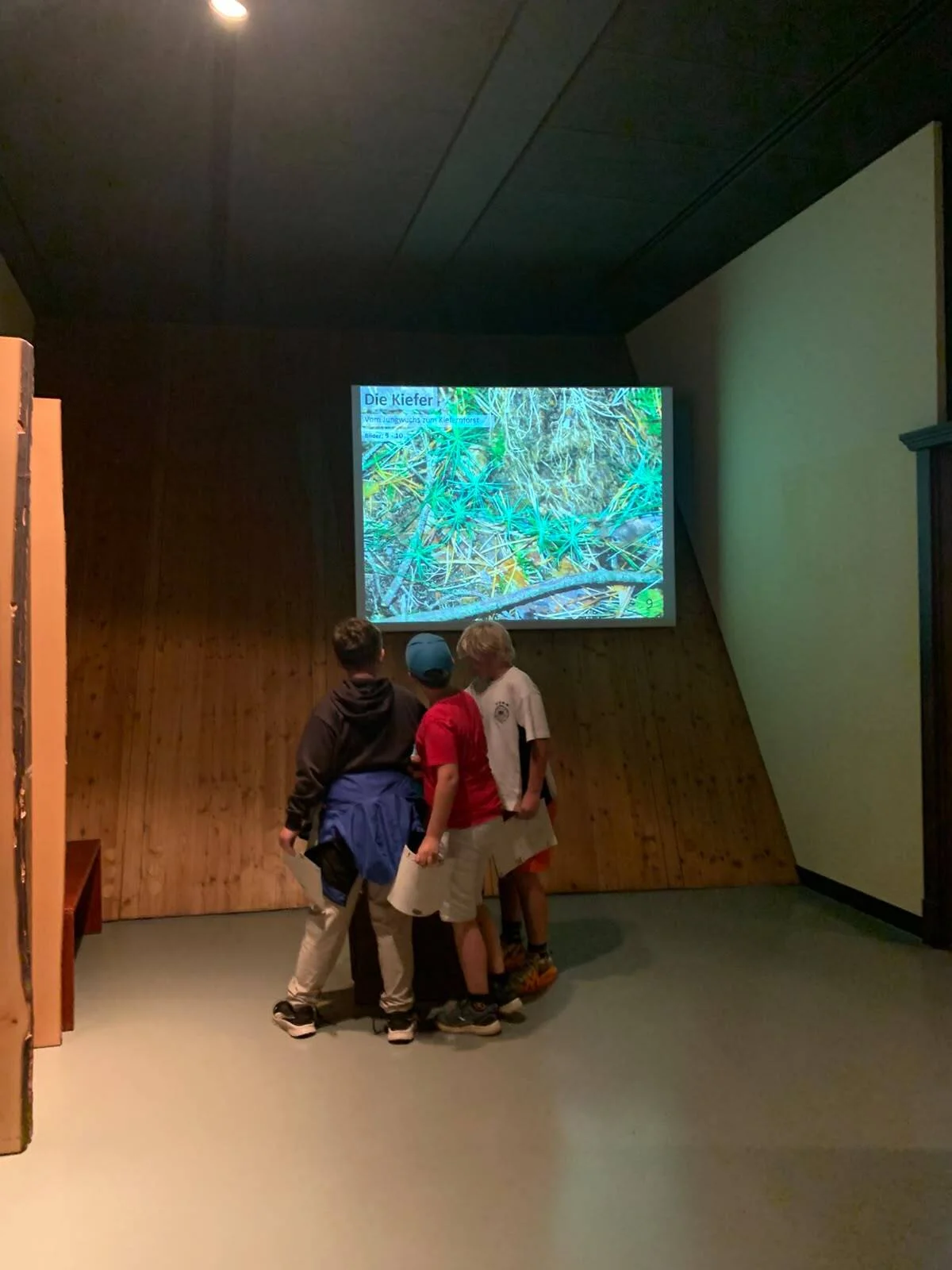 Bild der Galerie