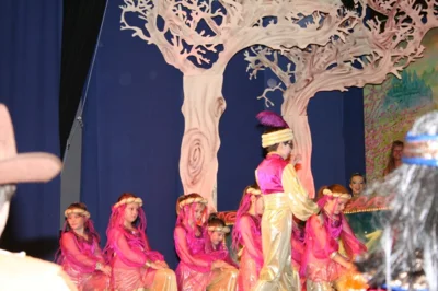 Foto des Albums: Kindersitzung 2013