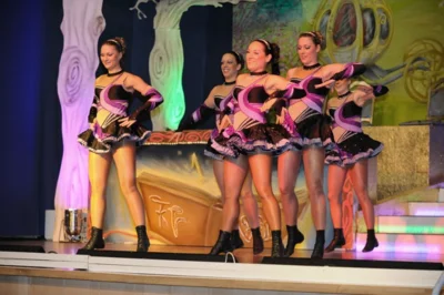 Foto des Albums: Ordensempfang 2013