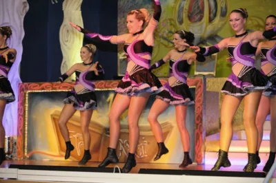 Foto des Albums: Ordensempfang 2013
