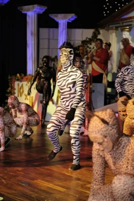 Foto des Albums: 1. Sitzung 2012