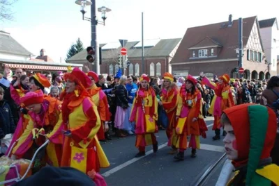 Foto des Albums: AEWG-Umzug 2011