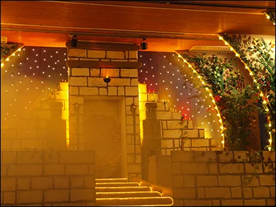 Foto des Albums: Ordensempfang 2009