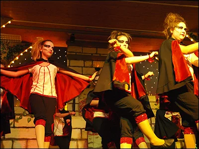 Foto des Albums: Ordensempfang 2009