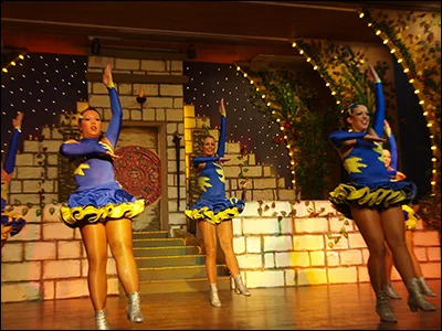 Foto des Albums: Ordensempfang 2009