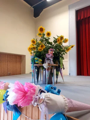 Foto des Albums: Einblick Schuleinführung 2026