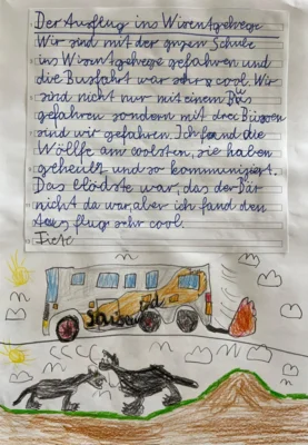 Foto des Albums: Schulausflug ins Wisentgehege