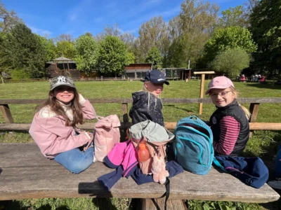 Foto des Albums: Schulausflug ins Wisentgehege