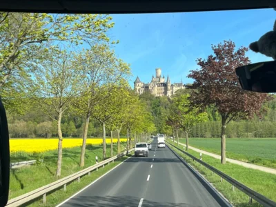 Foto des Albums: Schulausflug ins Wisentgehege