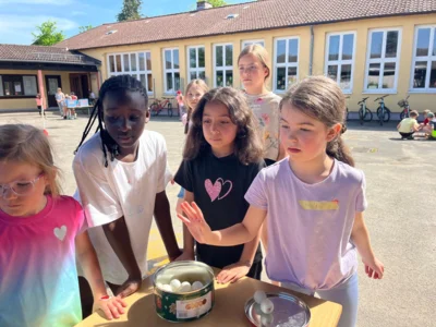 Foto des Albums: Unser Sportfest