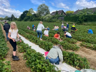 Foto des Albums: 3a und 3b: Ausflug zum Erdbeerfeld Egenstedt