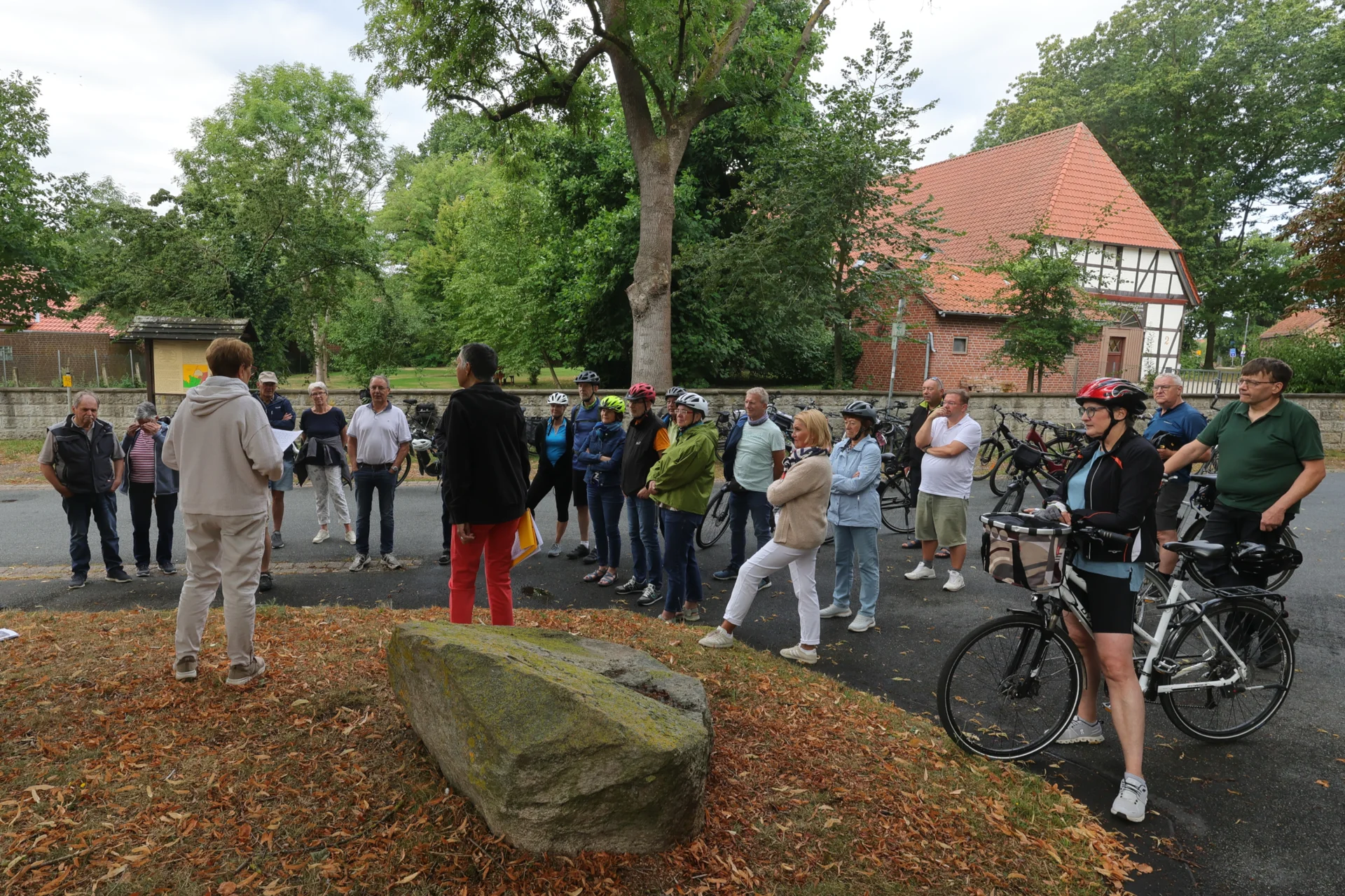 Bild der Galerie