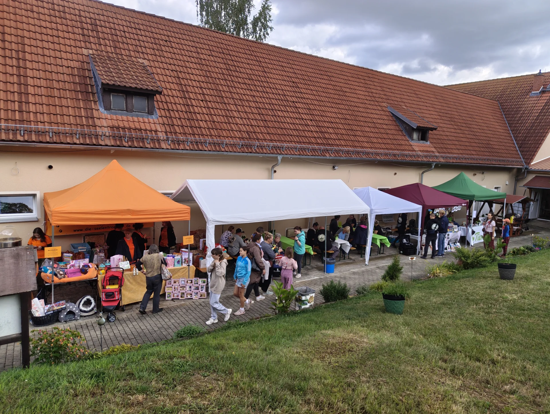 Bild der Galerie