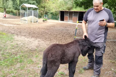 Tierpfleger Erwin mit dem "Kleinen" am 8.09.2026  (Bild vergr&ouml;&szlig;ern)