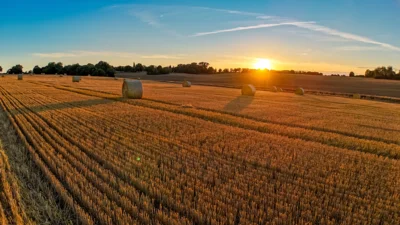 Foto des Albums: Spätsommerimpressionen Gemeinde Ruhner Berge