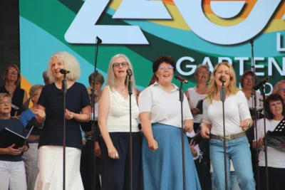 Bild 8  (Bild vergr&ouml;&szlig;ern)