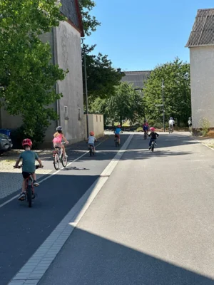 Foto des Albums: Nachbericht – Waldausflug 2026