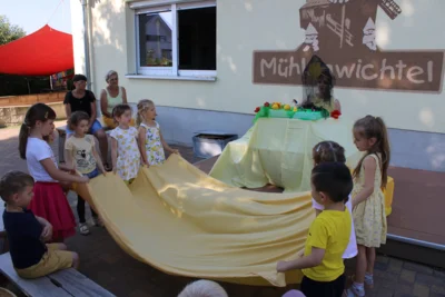 Foto des Albums: Sommerprojekt