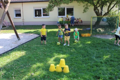 Foto des Albums: Sommerprojekt