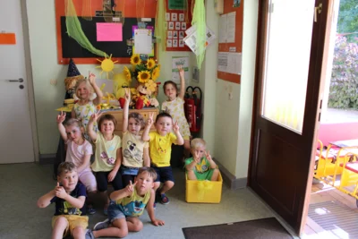 Foto des Albums: Sommerprojekt