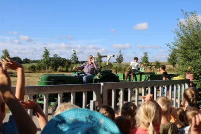 Foto des Albums: Sommerprojekt