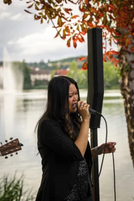 Foto des Albums: Songs an einem Sommerabend 2026