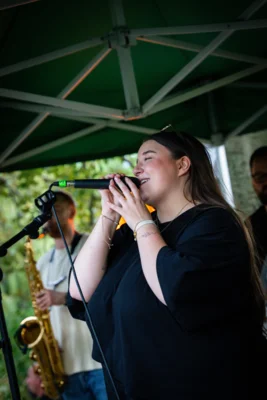 Foto des Albums: Songs an einem Sommerabend 2026