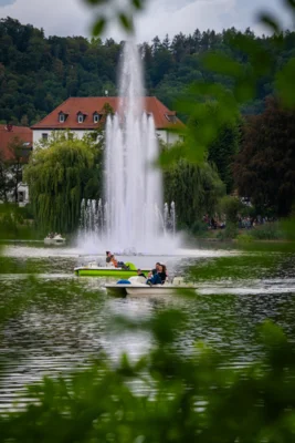 Foto des Albums: Songs an einem Sommerabend 2026