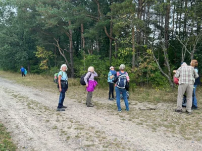 Foto des Albums: Die Heide mit Büsenbachtal, Brunsberg und Höllenschlucht