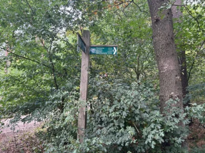 Foto des Albums: Die Heide mit Büsenbachtal, Brunsberg und Höllenschlucht