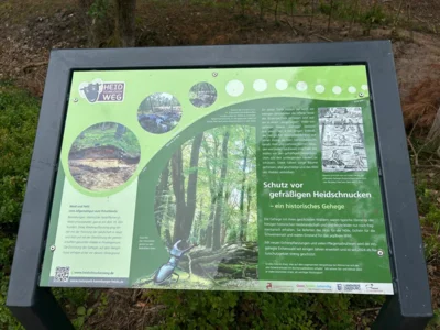 Foto des Albums: Die Heide mit Büsenbachtal, Brunsberg und Höllenschlucht