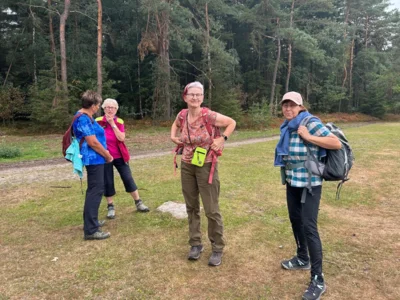 Foto des Albums: Die Heide mit Büsenbachtal, Brunsberg und Höllenschlucht