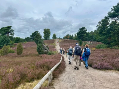 Foto des Albums: Die Heide mit Büsenbachtal, Brunsberg und Höllenschlucht