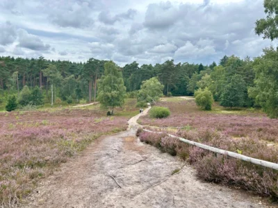 Foto des Albums: Die Heide mit Büsenbachtal, Brunsberg und Höllenschlucht