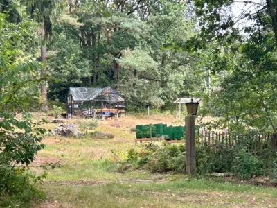 Foto des Albums: Die Heide mit Büsenbachtal, Brunsberg und Höllenschlucht