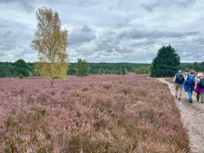 Foto des Albums: Die Heide mit Büsenbachtal, Brunsberg und Höllenschlucht